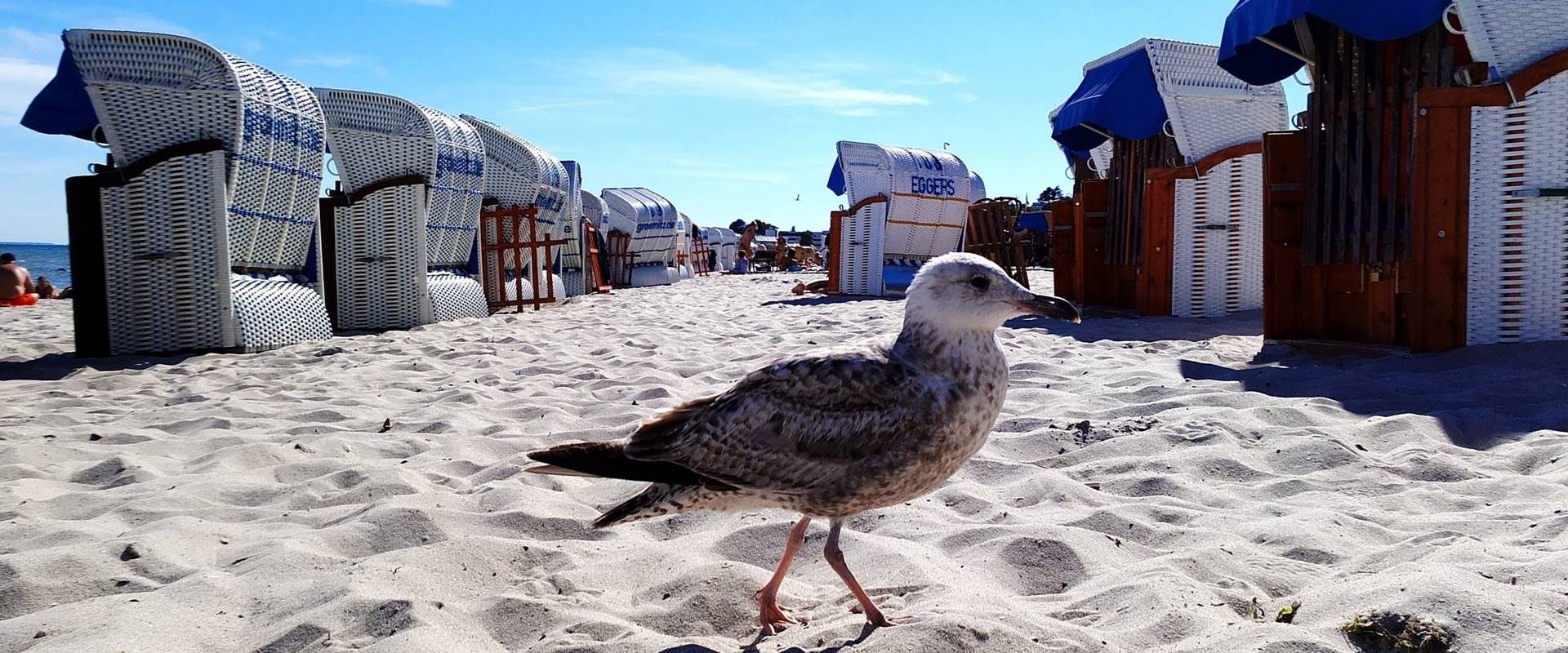 Urlaub an der Ostsee