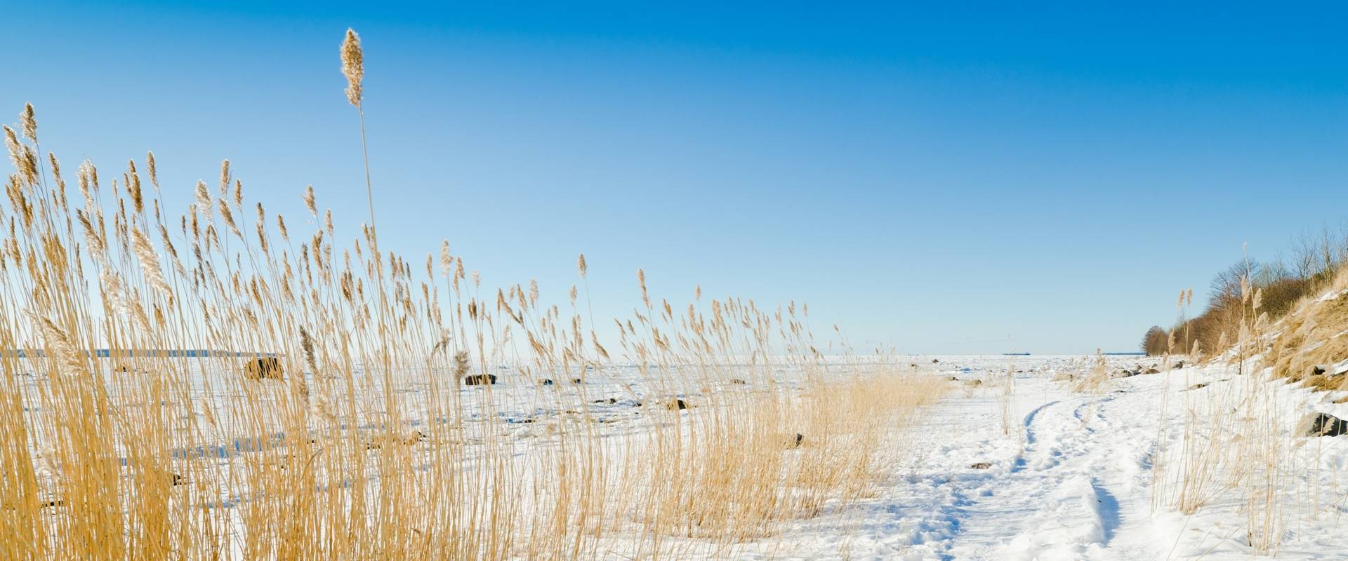 Urlaub an der Ostsee