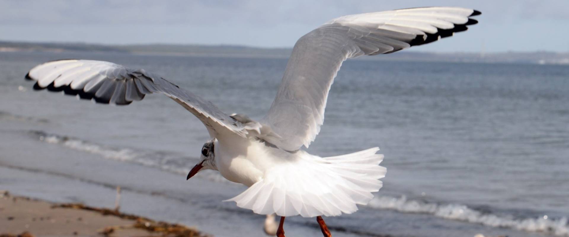 Urlaub an der Ostsee